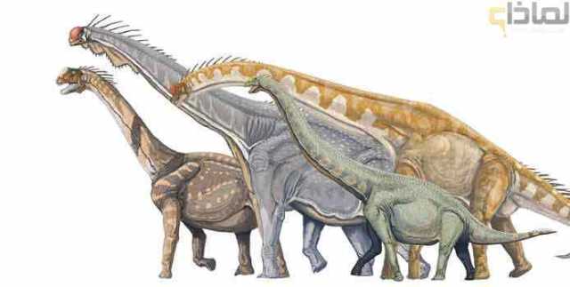لماذا انقرضت الديناصورات ولم يعد لها وجود ؟