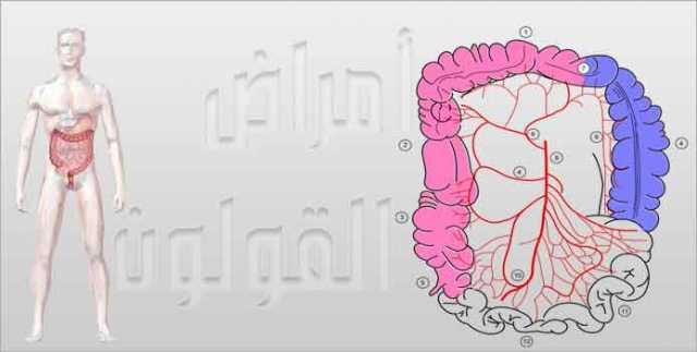 لماذا تعد أمراض القولون أكثر أمراض الجهاز الهضمي شيوعا