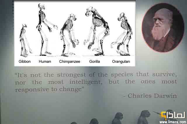 لماذا نظرية داروين تعد من ركائز علم الأحياء الحديث