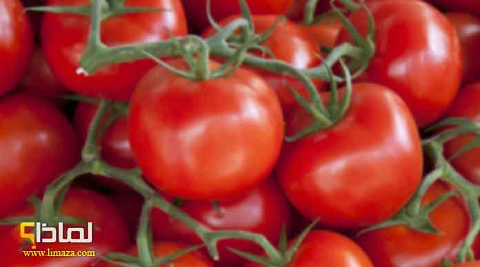 لماذا الطماطم حمراء ؟ و لماذا لونها دليل جودتها ؟