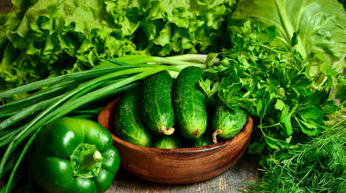 لماذا تعد الخضروات الورقية ذات قيمة غذائية كبيرة لماذا