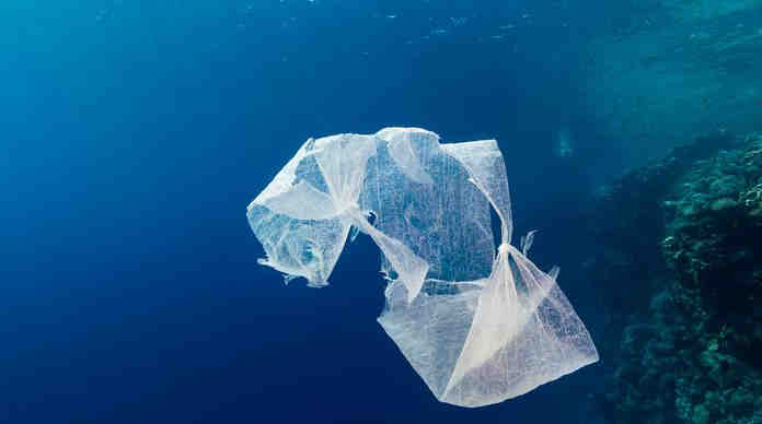 لماذا يوجد عداء بين محبي البيئة و أكياس البلاستيك ؟