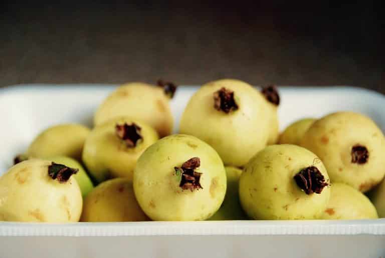فوائد الجوافة : لماذا تعد من أفضل فواكه الشتاء حسب الأطباء؟