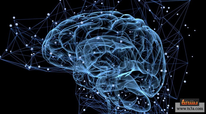 لماذا تعد الذاكرة البشرية شيئًا شديد التعقيد تشريحيًا؟